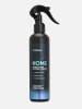 icleaner Clean-Home  250 мл